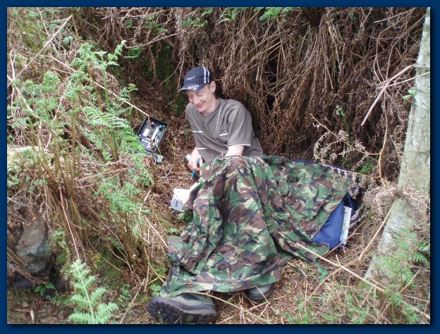 600x449 pixels (219K)